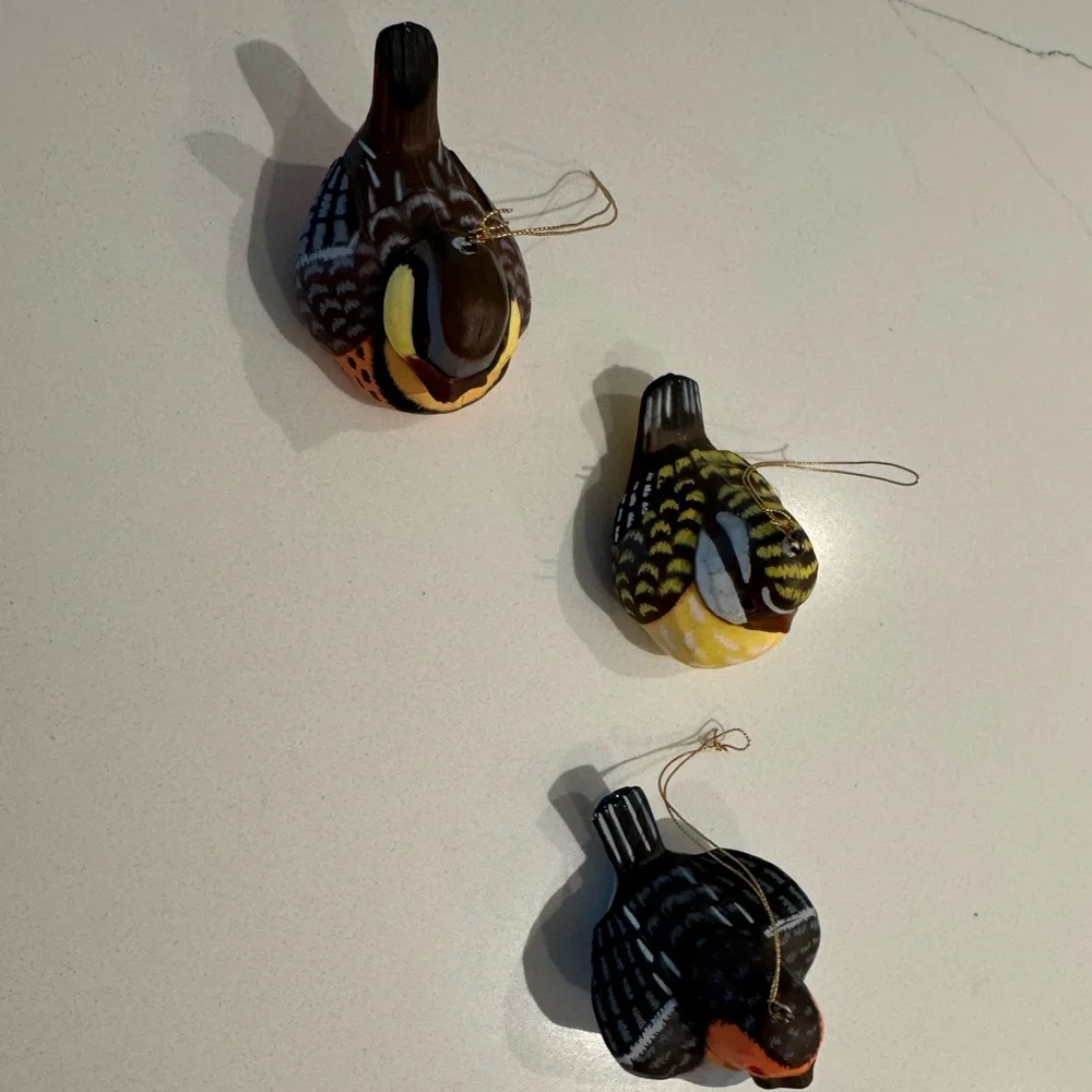 Colorful Bird Ornaments Set
